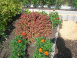 DSCN9212.JPG