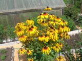 DSCN9221.JPG