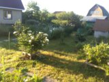IMG_20210620_054136.jpg