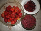 IMGP2756.JPG