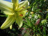 IMGP2852.JPG
