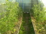 IMG_20220708_060801.jpg
