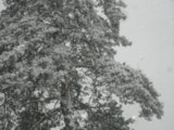 IMGP3809.JPG