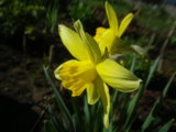 IMGP3970.JPG