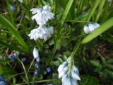 IMGP3952.JPG