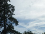 IMGP4574.JPG
