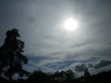 IMGP4572.JPG