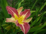 IMGP4713.JPG