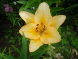 IMGP4666.JPG