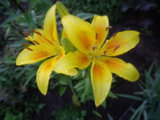 IMGP4764.JPG