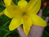 IMGP4938.JPG