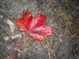 IMGP5219.JPG
