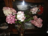 IMGP5322.JPG