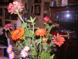 IMGP5323.JPG
