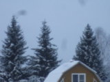 IMGP5386.JPG