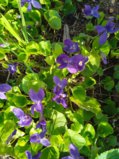 IMG_20240429_175916_1.jpg