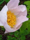 IMG_20240618_143654.jpg