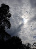 IMG_20240615_155727_1.jpg