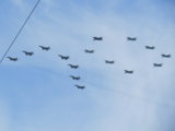 IMG_4559.JPG
