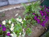 IMGP2106.JPG