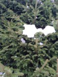 IMG_20250224_162236_1.jpg