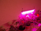 DSCN0176.JPG