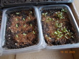 DSCN0178.JPG