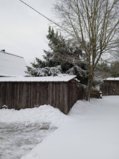 IMG_20250314_160857.jpg