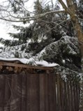 IMG_20250314_161148.jpg