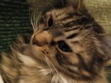 IMG_20250320_185738.jpg