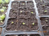 DSCN0222.JPG