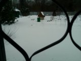 IMG_20250410_111126_MP.jpg