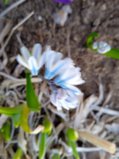 IMG_20250403_190013_1.jpg