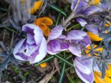 IMG_20250403_190723_1.jpg