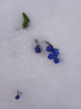 IMG_20250410_143802.jpg