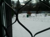 IMG_20250411_164110_MP.jpg