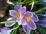 IMG_20250413_161741.jpg