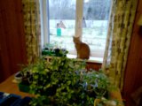 IMG_20250417_193026_MP.jpg