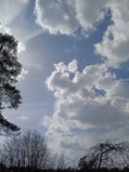 IMG_20250419_142255_1.jpg