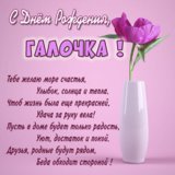 галочка.jpg