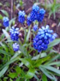 IMG_20250429_192411.jpg