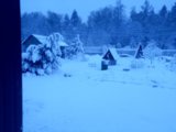 IMG_20250502_042341_MP.jpg