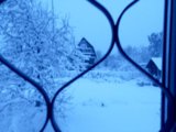 IMG_20250502_042404_MP.jpg