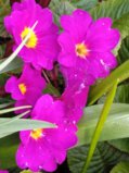 IMG_20250504_183926_1.jpg