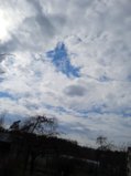 IMG_20250502_152831.jpg