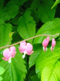 IMG_20250611_195153_1.jpg
