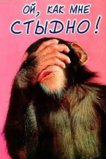 стыдно2.jpg
