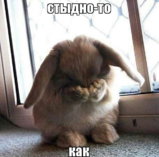 стыдно3.jpg