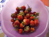 DSCN0140.JPG