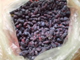 DSCN0141.JPG
